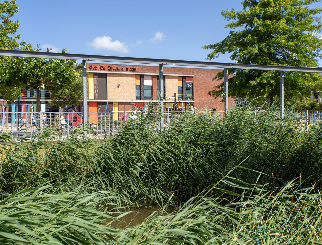 ZilverenMaan-bew-IMG_6693